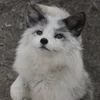 серебрянкаа
