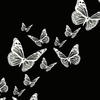 dead_butterflies.