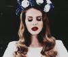 FunnyDasha