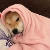 krltkrn_
