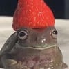 Мяки