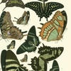 Clare Winn