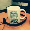 Carelessowl