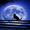 _Moonlight Sonata_