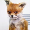 mournful_fox