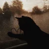 urlilmeow