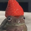 madinochek