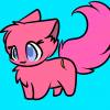 Nana the cat
