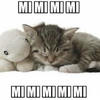 Чайка с кофе