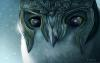 GrayOwl aka Liliwhight Lilith