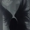 .Dark Angel.