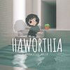 Haworthia
