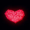 AmoreForAmore