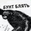Дурочка228