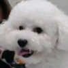 MYLiE