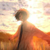 Sunny chamomile