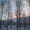 Dira_Snow
