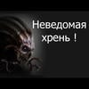 НЗХ