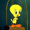 S_chimka