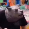 Kanigs