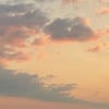 Ssnoya-