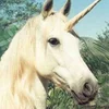 Арина уголь