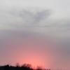 Пельмень С Голубикой