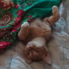 Чаеман без чая