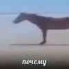 Alich_nekto