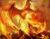 Fire_Fenix