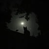 moon.lun