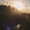 Sollari