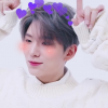 yxkim_di