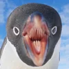 miotla