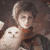 FanHarry Potter