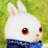 Mr. Rabbit