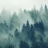 Дерево в лесу