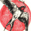 blind swallow