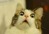 Sunny_Sunny