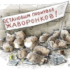 Рина Макс