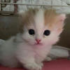 Mitsy-chan