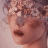 __amaryllis_