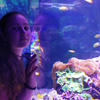 Anaida_Diana