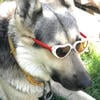 Найлюсик_1356