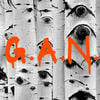 Gilli A. N.