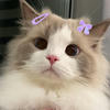 hayako.me
