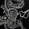the dragon princess