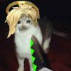 SioMio