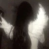 miravienta