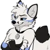 HoodyFurr